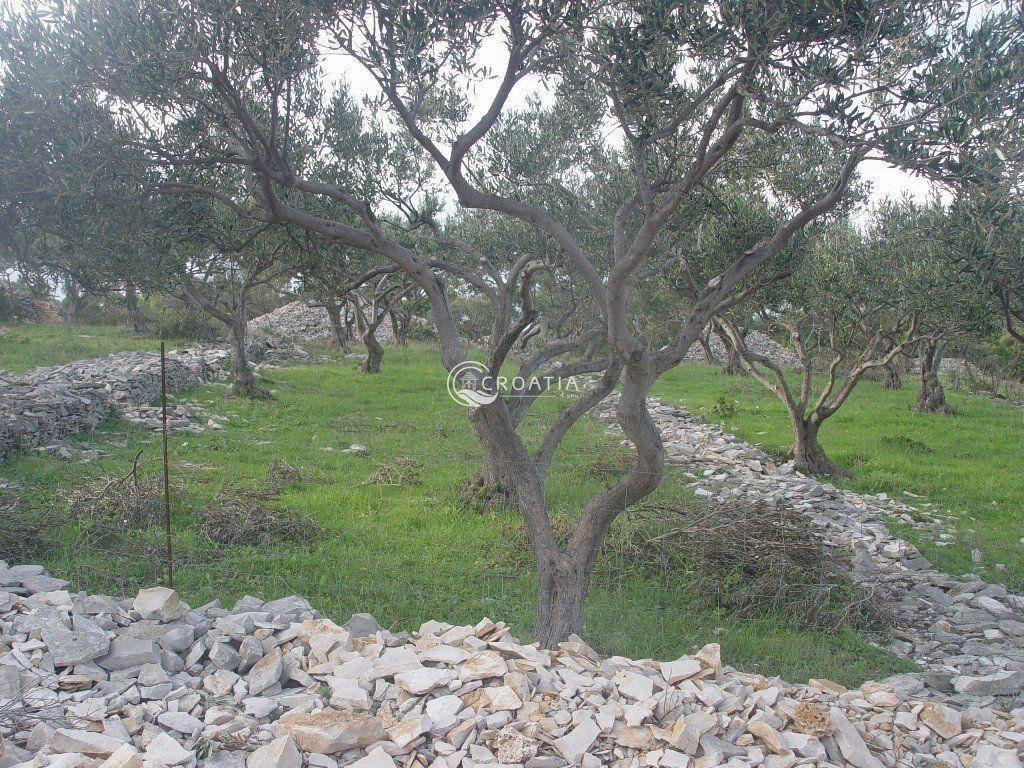 Land in Sutivan on island Brač