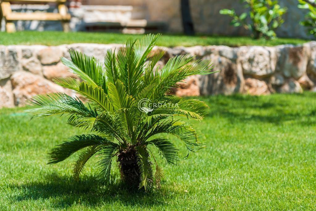 Beautiful stone Villa in Sukošan near Zadar