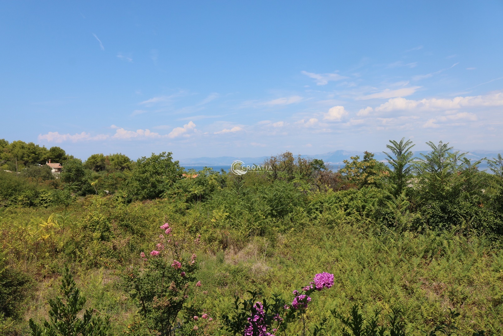 Luxury stone villa on the island of Brac